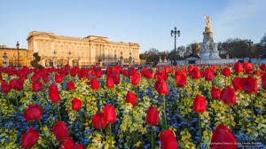 Buckingham Palace In Spring London England Buckingham Palace England Relaxing Photos