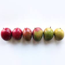 Photographer Arranges Fruits And Veggies By Color Gradients To Please Even The Most Organized Soul Fruit Food Food Art