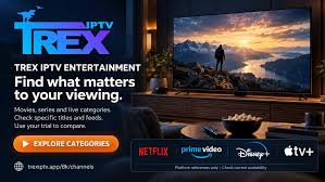 Audio languages & Setup Checks | Trex IPTV