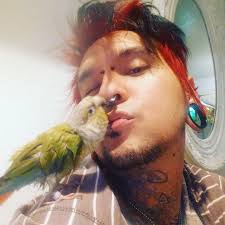 What kind of birb is this? Reggie's resentment in the comments.