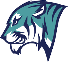 Ajjax Tygrysy Sports Logo Design Animal Logo Mascot Design