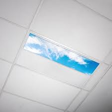 Octo Lights Fluorescent Light Covers 1x4 Flexible Ceiling Light Diffuser Panels Decorative Clouds For Classrooms And Offices 004 Walmart Com Walmart Com