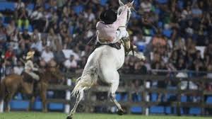 João Silveira, o ginete alegretense que está montando em Jesús Maria na  Argentina