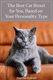 Pin On Pet Love