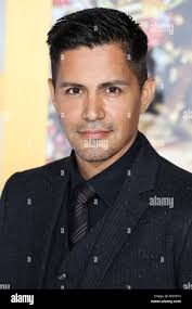 Jay fox hi-res stock photography and images