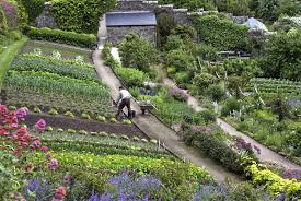 Garden In Scotland Gardening Flowering Flowers Garden Harvest Landscaping Gardenideas Usafarmer Usafarm In 2020 Survival Gardening Dream Garden Sloped Garden