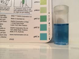 We did not find results for: How To Adjust Ph Level Of Your Aquarium My Aquarium Club