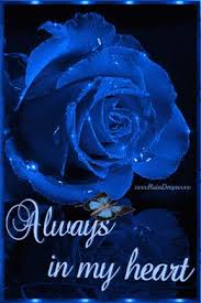 06921c1dac57e8385b01486a34e05891 Gif 288 432 Love You Images Love Rose Rose