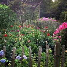 Pin On Garten Inspirationen Garden Inspirations