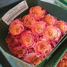 Vælg mellem et stort udvalg af lignende scener. Set Your Spirit Free With Some Colorful Free Spirit Roses Free Spirit Rose Love Flowers Rose