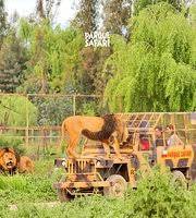 Aug 03, 2021 · todas las noticias sobre cultura publicadas en el país. Parque Safari Rancagua 2021 All You Need To Know Before You Go With Photos Tripadvisor