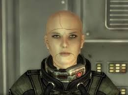 How well would a squad of all the Brotherhood of Steel Companions work  together as a team? : r/Fallout