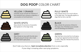 dog poop color chart what it shows about your dogs health