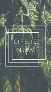 10 Happy Iphone 7 Wallpapers To Celebrate Life Preppy Wallpapers Iphone 7 Plus Wallpaper 7 Plus Wallpaper Iphone 7 Wallpapers