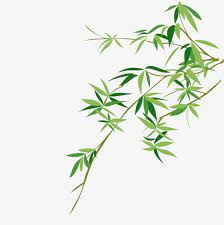 Vector Bamboo Green Bamboo Leaf Png Transparent Clipart Image And Psd File For Free Download Free Clip Art Cartoon Leaf Clip Art