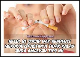 Pin Di Kesihatan