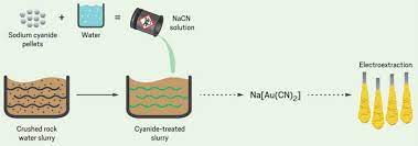 Cyanide is used to extract gold from ore where it is spread throughout the ore in fine amounts. Cyanide Glitters For Some
