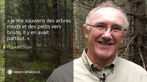 La tordeuse des bourgeons de l'épinette : une infestation aux portes du  N.-B.