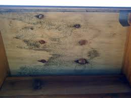 De enige oplossing voor dit probleem is dan ook de lijnolie volledig verwijderen en overstappen op een. Schimmel Op Dakbeschot Woodworking Nl