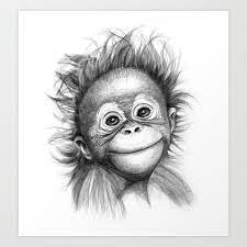 Buy Monkey Baby Orang Outan 2016 G 121 Art Print By S Schukina Worldwide Shipping Available At Society Pencil Drawings Of Animals Animal Sketches Monkey Art
