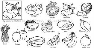 Dengan begitu, maka akan menghasilkan buah anggur yang lezat. Johor Cop 015 Cop Buah Buahan Tempatan 14pcs Science Daripada I Education Solution