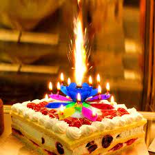 Birthday candles magic zu günstigen preisen. Magic Flower Birthday Candle Buy 3 Free Shipping Freelyshoppy Lotus Birthday Candle Birthday Candles Lotus Cake