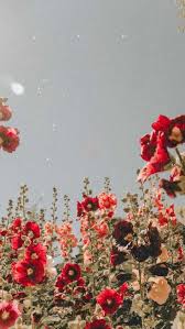 Weve gathered more than 3 million images uploaded by our users and sorted them by the most popular ones. Aesthetic Spring Wallpaper Enjpg