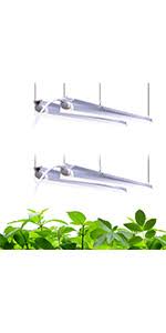 We did not find results for: Barrina Led Grow Light 4ft 168w 4 X 42w 1000w Equivalent Full Spectrum V Shape With Reflector Grow Light Strip Grow Lights For Indoor Plants 4 Pack