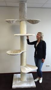 Trixie pet product baza cat trees. Cat Trees For Large Cats A Buyers Guide 2020 Cat Tree Uk