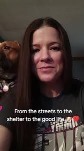 Stacey Bowman's Instagram, Twitter & Facebook