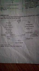 We did not find results for: Gambarkan Secara Skematis Siklus Hidup Tumbuhan Berbiji Terbuka Secara Generatif Brainly Co Id