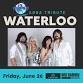 Waterloo - ABBA Tribute