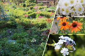 Dann hast du vielleicht die falschen pflanzen gepflanzt. Pflanzen Fur Den Halbschatten 26 Bluhende Schattenpflanzen