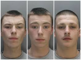 Locked Up: The North Wales thugs, drug dealers, flashers, paedophiles,  rapists and neighbours from hell jailed in 2017