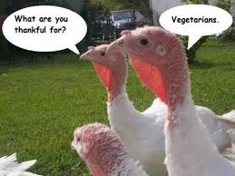 President trump tweets about the ungrateful turkey should have thanked him for not being cooked!#tuesdaythoughts #turkeypardon. 11 Dank Memes For This Thanksgiving That Everyone Will Relate To Asviral
