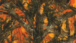 Browning maxus ii camo mossy oak bottomland 12 ga 26 3.5 shotgun The Gallery For Realtree Camo Wallpapers Desktop Background