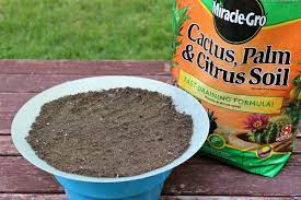 Succulent Garden Inspiration With Hoosier Homemade Succulent Garden Diy Succulent Care Succulent Gardening