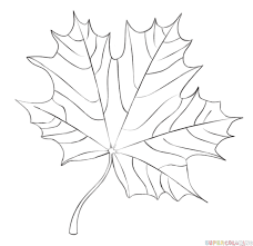 How To Draw A Maple Leaf Step By Step Drawing Tutorials Samouchiteli Po Tsvetochnim Risunkam Risunki Tsvetov Uroki Risovaniya Karandashom