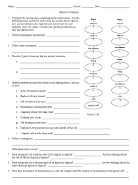 Answer key to meiosis worksheet where. Bio Meiosis Nail Gales Science