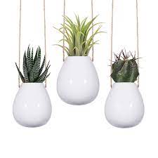 These shallow pots for succulents are amazing for planting small cactus and succulents in them. 2 5 White Hanging Planters Set Of 3 Small White Ceramic Pots Indoor Plants Hangers Hanging Pot Holders Hanging Ceramic Vase Amazon Com Au