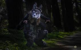 Wolfskostüm kinder kostüm wolf kinderkostüm wolfkostüm märchen overall märchenkostüm. Halloween Kostume Selber Machen Diy Ideen Anleitungen Maskerix De