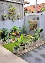 Tanaman bunga dalam pot untuk taman dalam rumah. Gambar Taman Bunga Dalam Pot