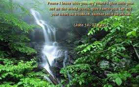 Praying bible verses wallpapers wallpaper cave. Pictures Of Nature With Bible Verses Pictures Of Nnature