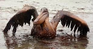 Exxon Valdez oil spill ...