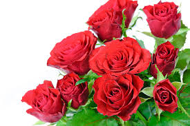When you order funeral flowers from flowers by rose, our skilled and compassionate florist will work directly with the funeral home to ensure that your delivery is timely and accurate. Valentines Day Flowers In Chantilly Va Metro Flower Market