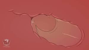 Itadori x Megumi (Plus Gojos Sex Education :D) - BoyFriendTV.com