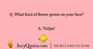 Tulip Flower Joke With Picture Minions are so cute in their looks and funny in actions.