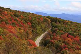 Tennessee is the 36th largest by area and the 16th most populous of the. 8 Prettiest Places In Tennessee For Fall Foliage Southern Living