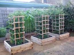 Eat Live Grow Paleo Square Foot Garden Garden Structures Garden Structures Square Foot Gardening Tomato Cages
