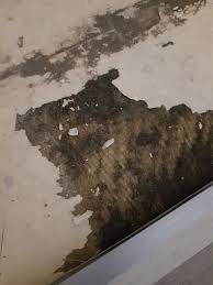 Image result for site:byggahus.se ytskikt